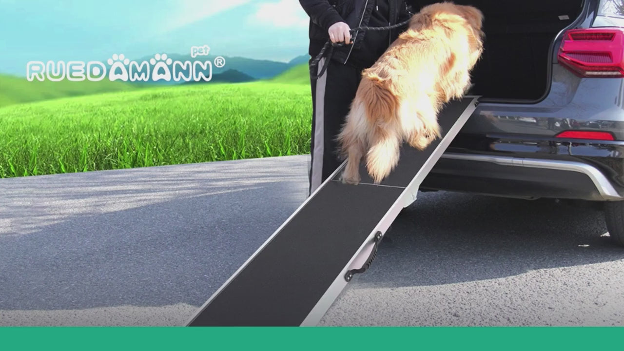 Load video: IT” THAT ACCOMPANIES YOU NEEDS A Dog RAMP